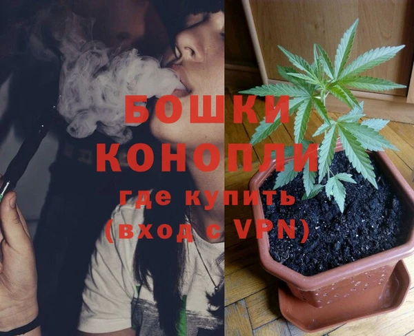 дмт Богородицк