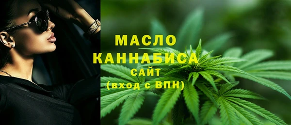 дмт Богородицк