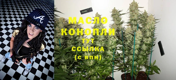 дмт Богородицк