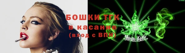 дмт Богородицк