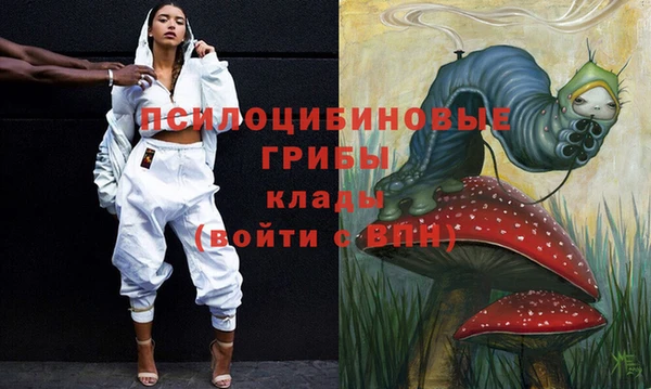 ешки Богородск