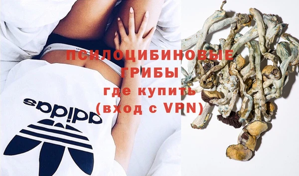 МДМА Богданович