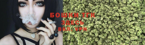 дмт Богородицк