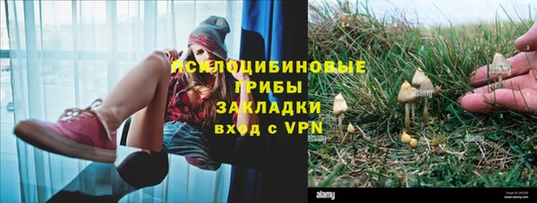 дмт Богородицк