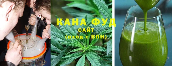 дмт Богородицк