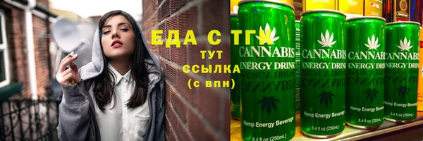 дмт Богородицк