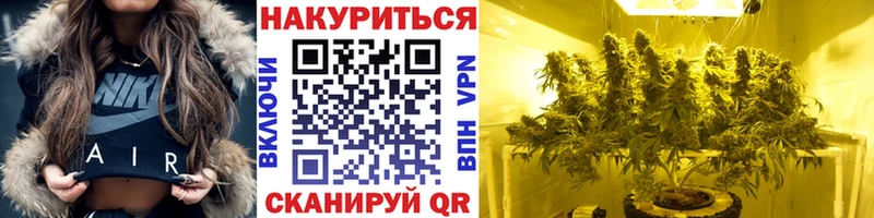 Бошки марихуана White Widow  omg ТОР  Шилка  продажа наркотиков 